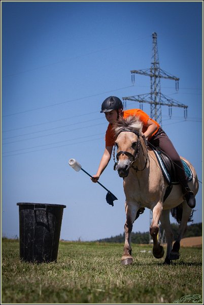 Mounted Games 197